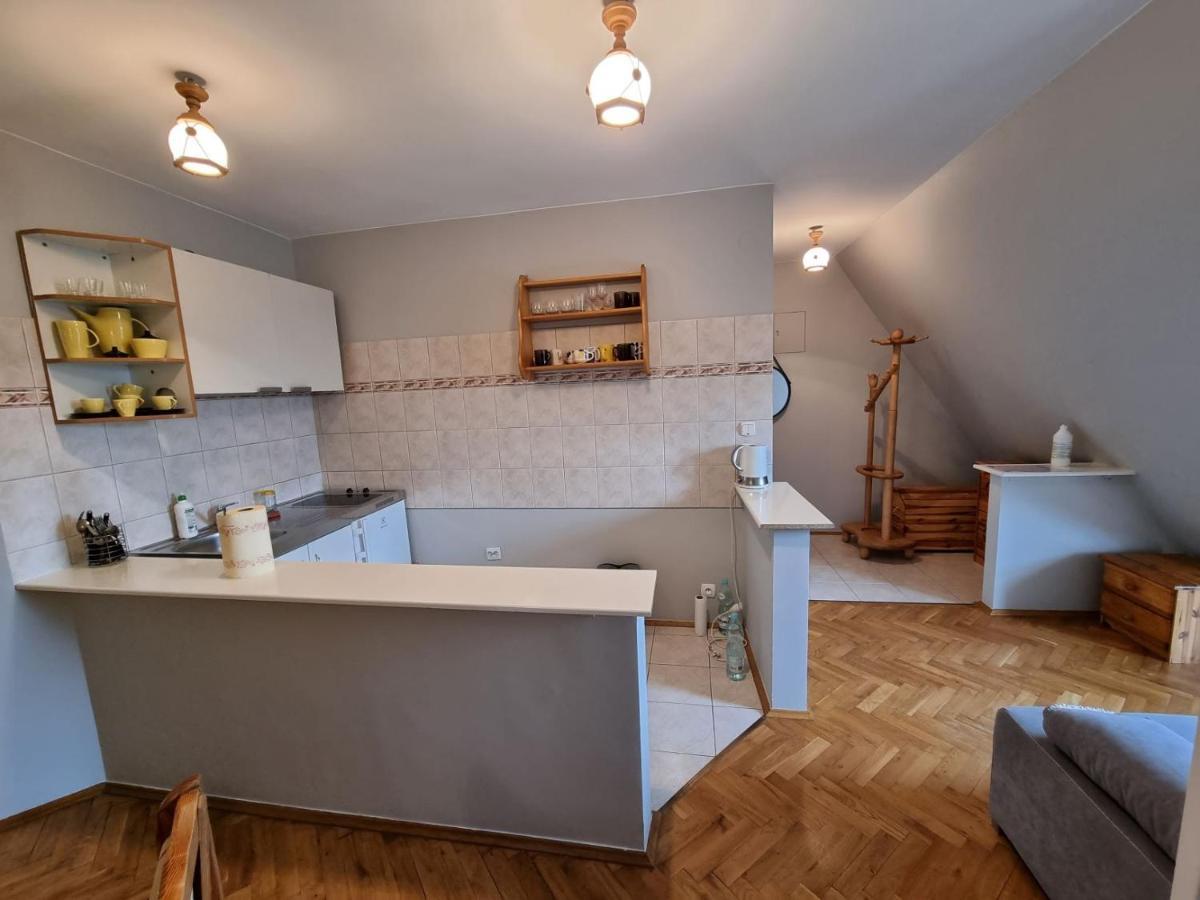Apartament Droga Na Bystre 9A Zakopane Dış mekan fotoğraf
